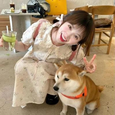 大家族粤语