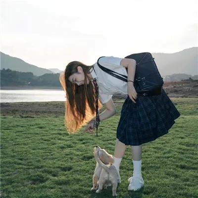 女郎我最兔