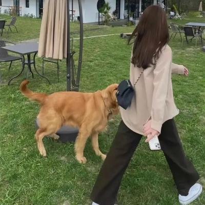 酷爸俏妈